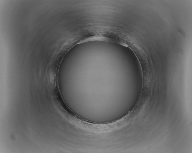 X0000111170031200907081224