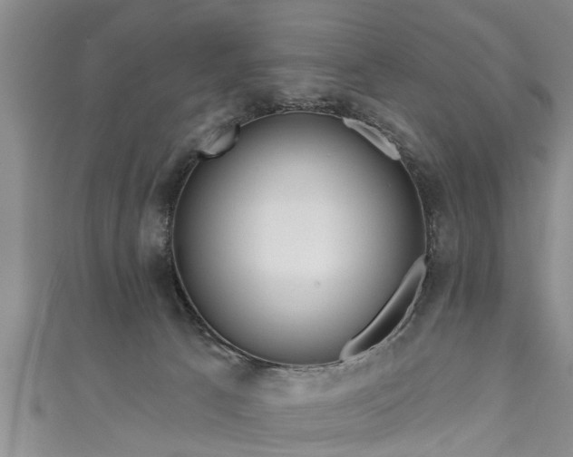 X0000111170033200907081224