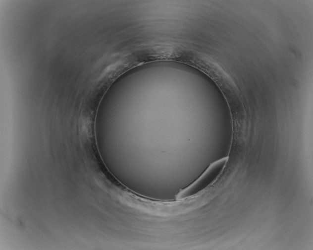 X0000111170035200907081224