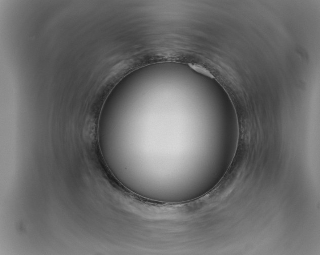 X0000111170036200907081224