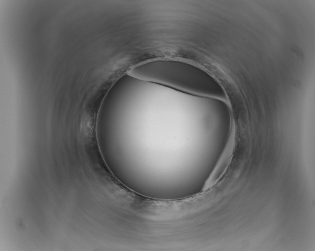 X0000111170037200907081224