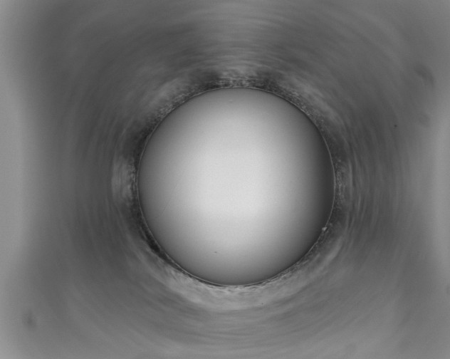 X0000111170038200907081224