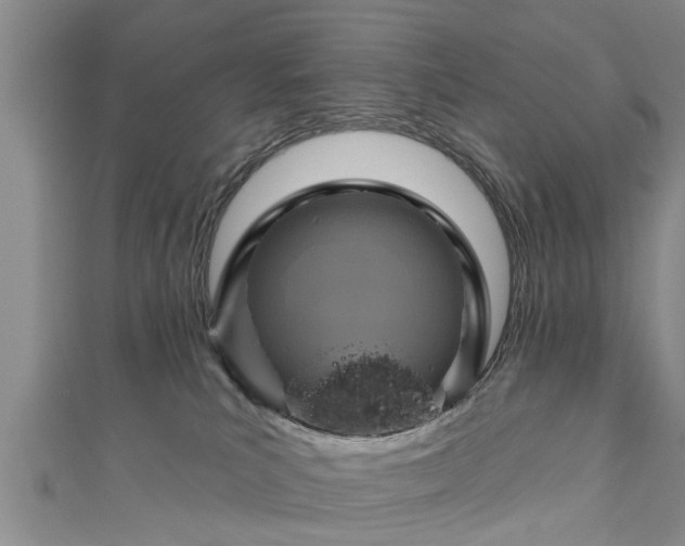 X0000111170039200907081224