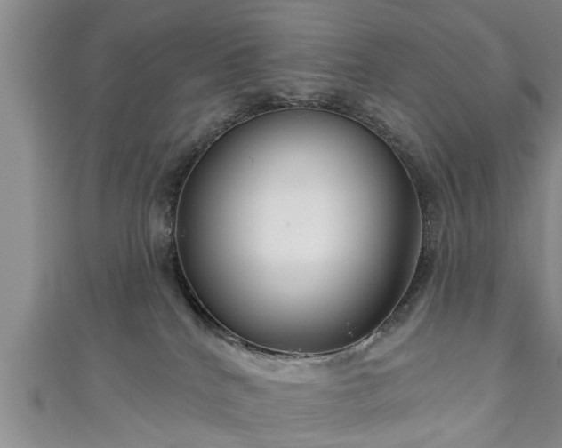 X0000111170040200907081224