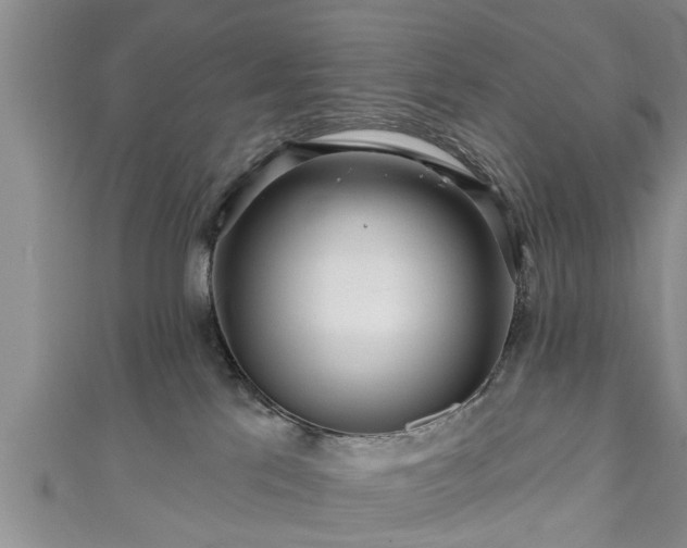 X0000111170041200907081224