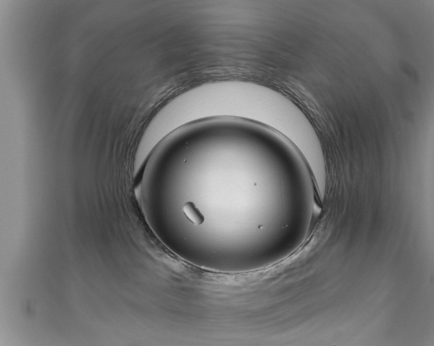 X0000111170045200907081224