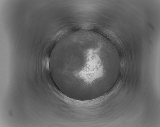 X0000111170046200907081224