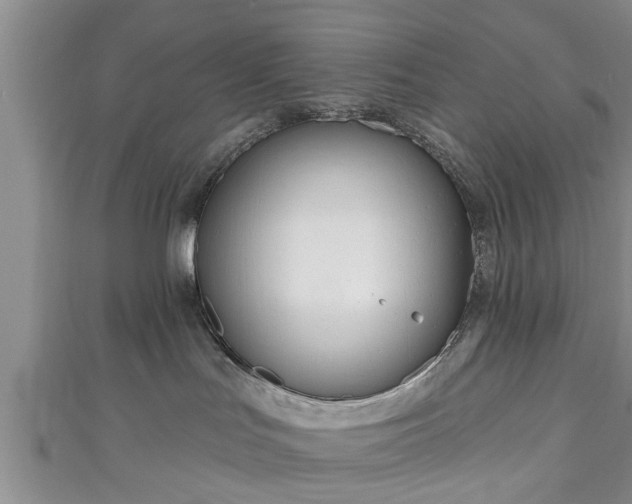 X0000111170047200907081224