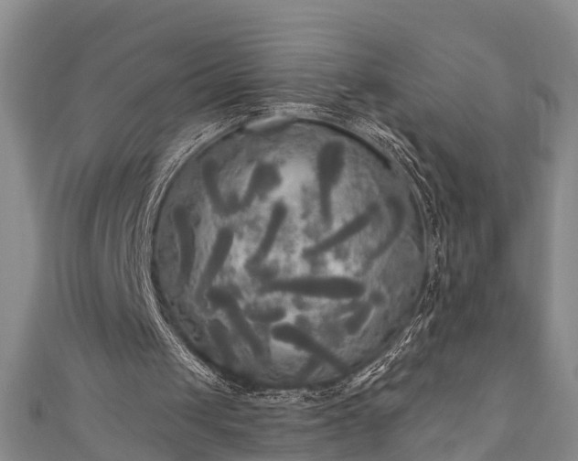 X0000111170049200907081223