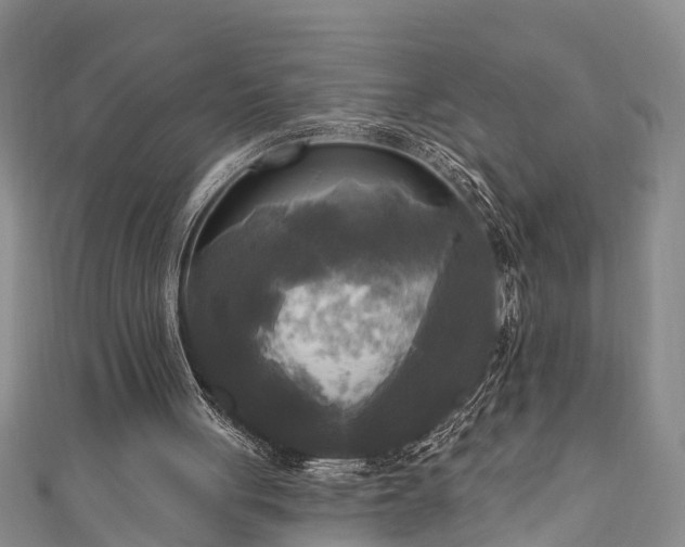 X0000111170051200907081223