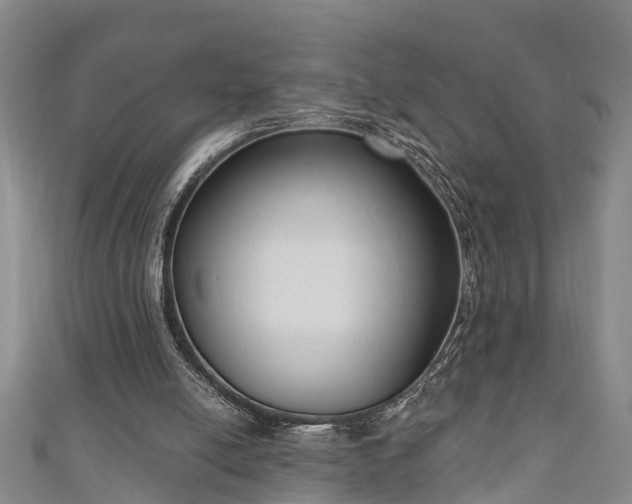 X0000111170054200907081223