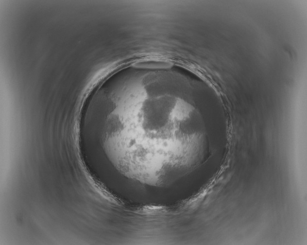 X0000111170055200907081223