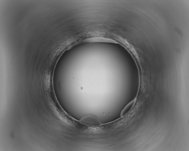 X0000111170057200907081223