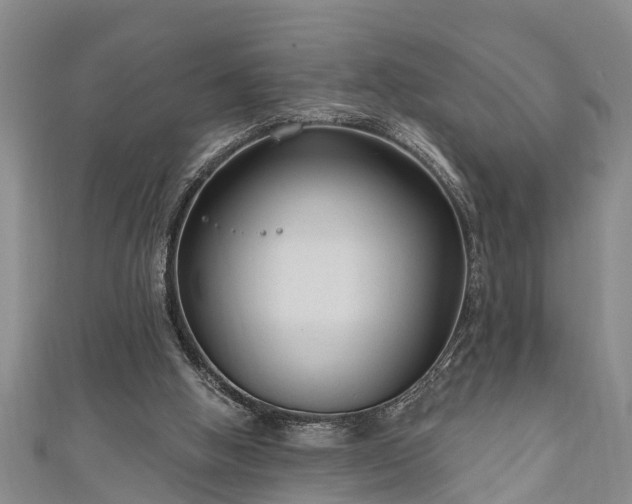 X0000111170058200907081223