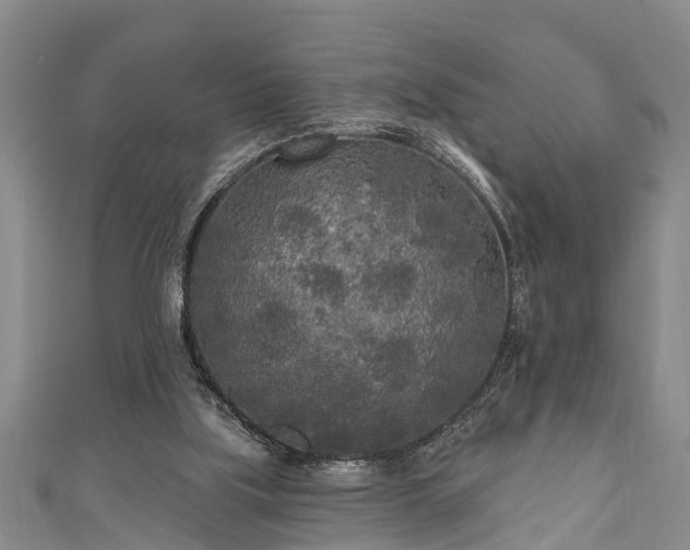 X0000111170059200907081223