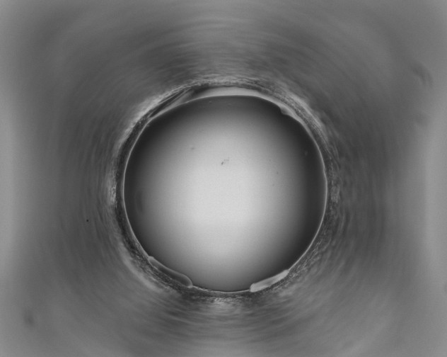 X0000111170060200907081223