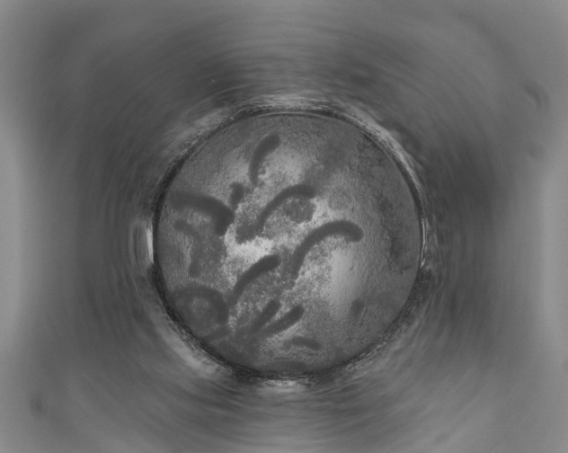 X0000111170061200907081223