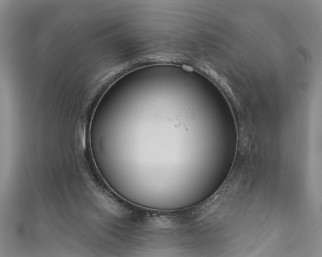 X0000111170062200907081223