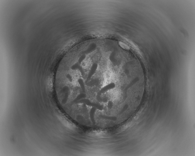 X0000111170065200907081223