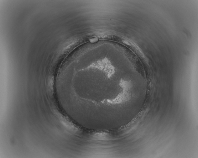 X0000111170066200907081223