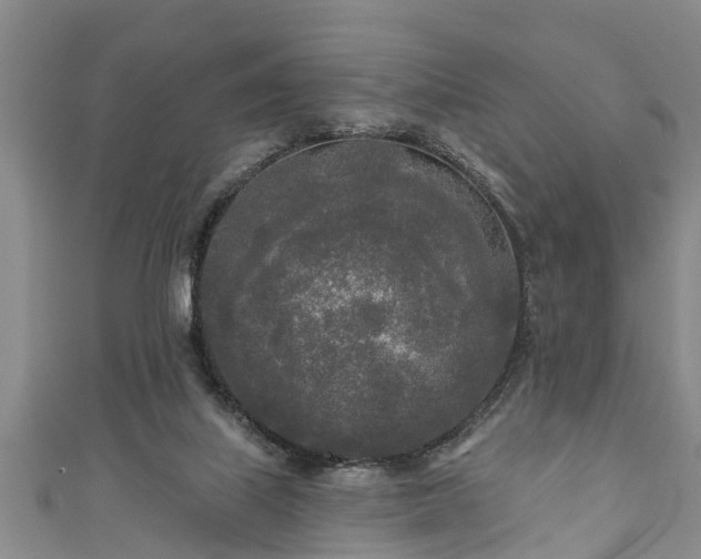 X0000111170067200907081223