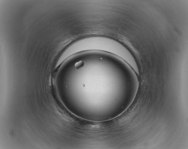 X0000111170068200907081223