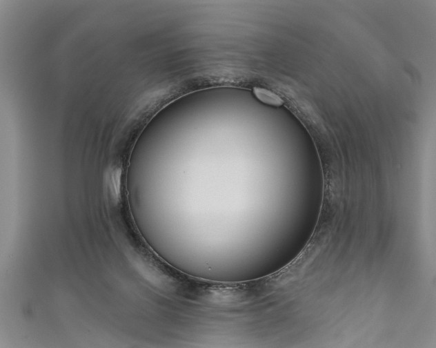 X0000111170070200907081223