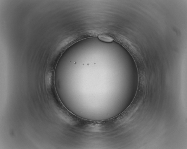 X0000111170071200907081223