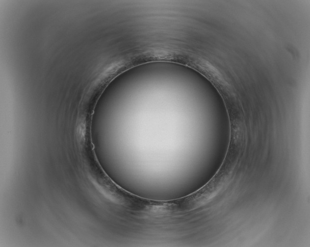 X0000111170072200907081223