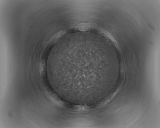 X0000111170073200907081223