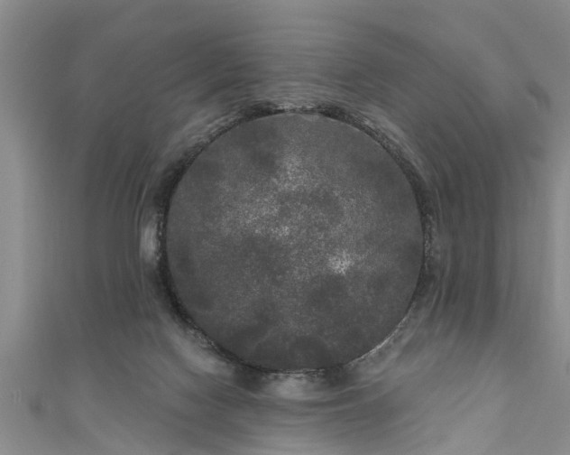 X0000111170074200907081223