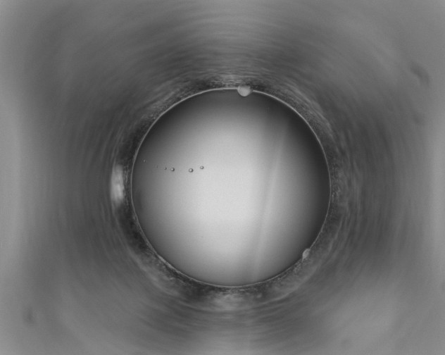 X0000111170075200907081223