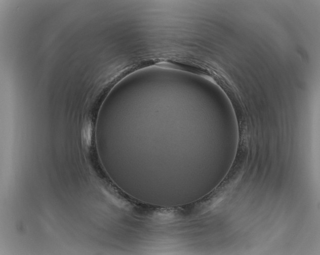 X0000111170076200907081223