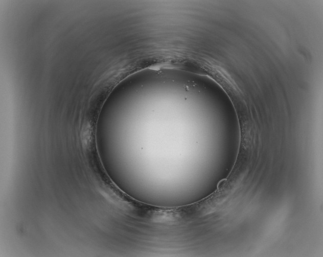 X0000111170077200907081223