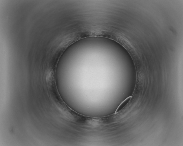 X0000111170079200907081223