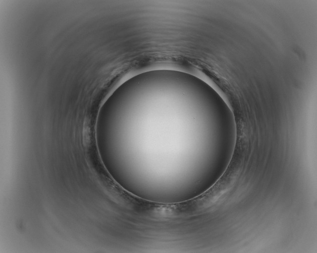 X0000111170080200907081223