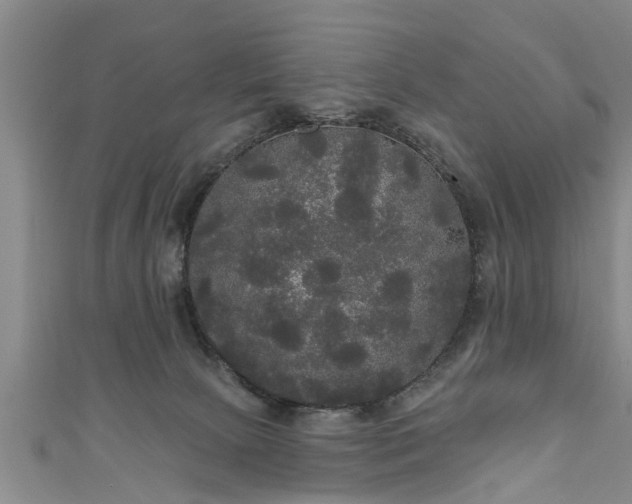 X0000111170081200907081223