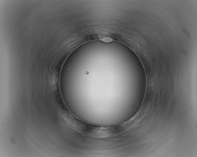 X0000111170082200907081223