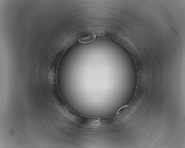 X0000111170083200907081223