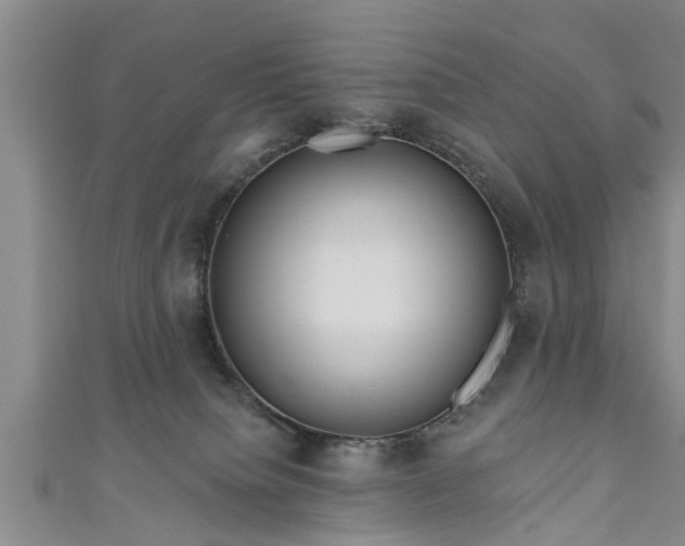 X0000111170084200907081223