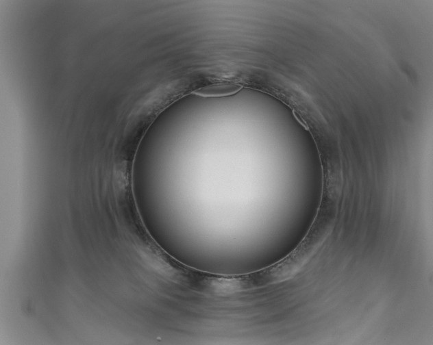 X0000111170085200907081223