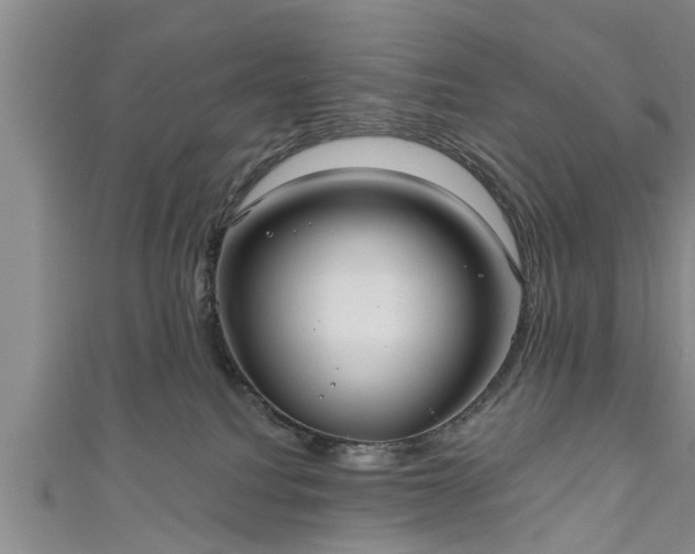 X0000111170088200907081223