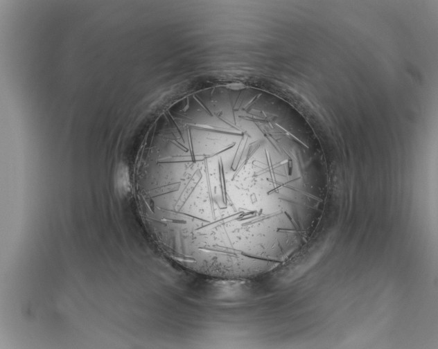X0000111170089200907081223