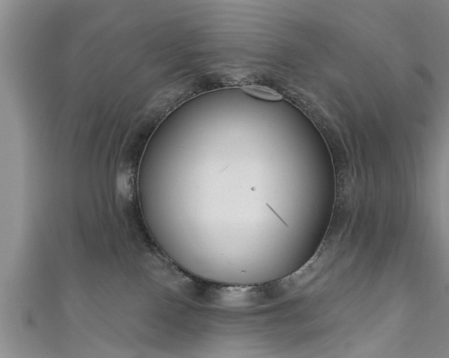 X0000111170090200907081223