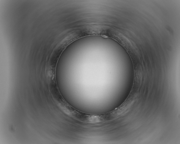 X0000111170091200907081224