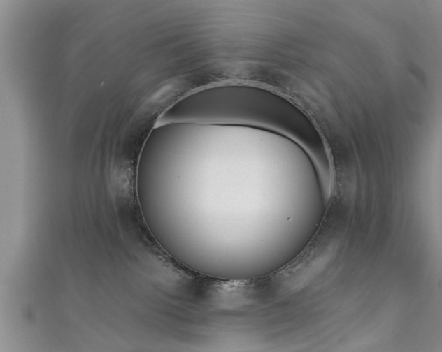 X0000111170092200907081224