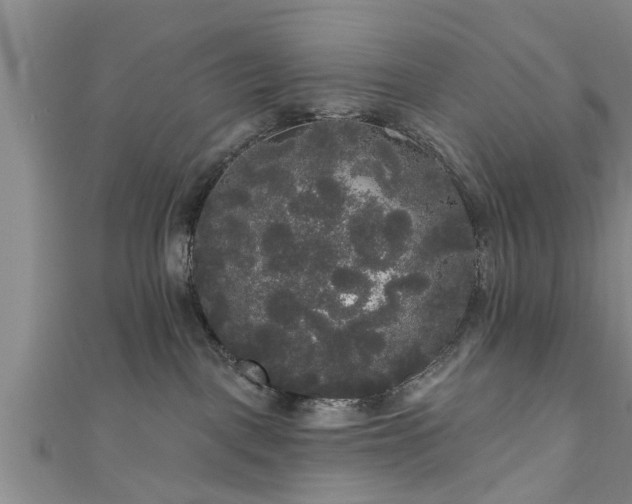 X0000111170093200907081224