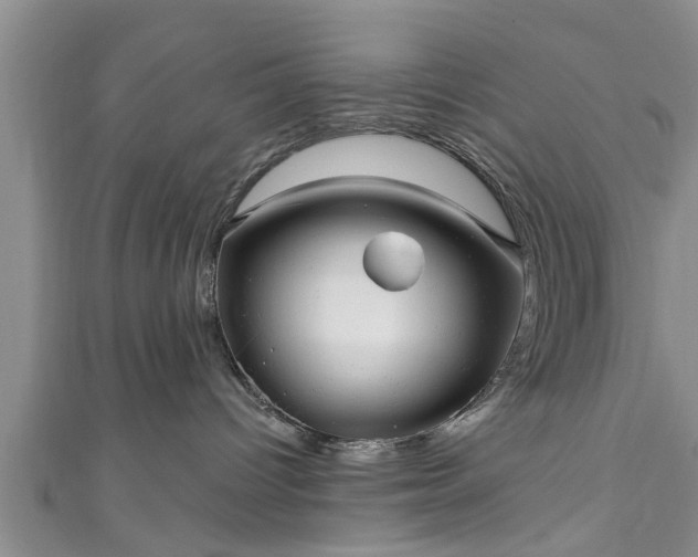 X0000111170096200907081224