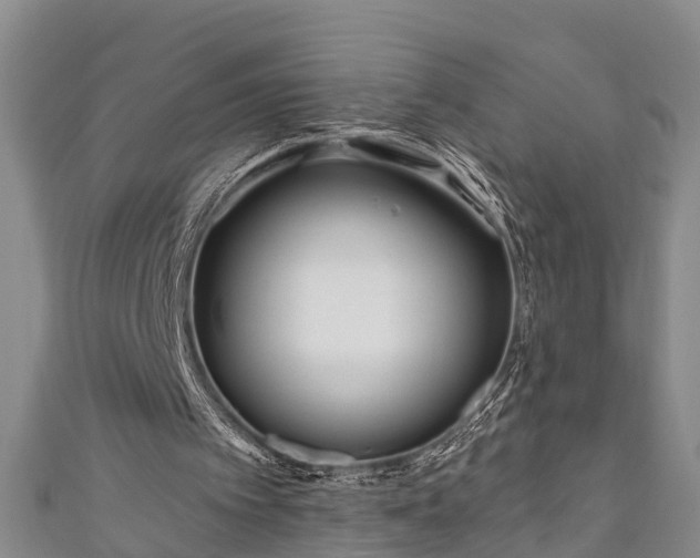 X0000111170097200907081223