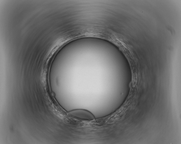 X0000111170098200907081223